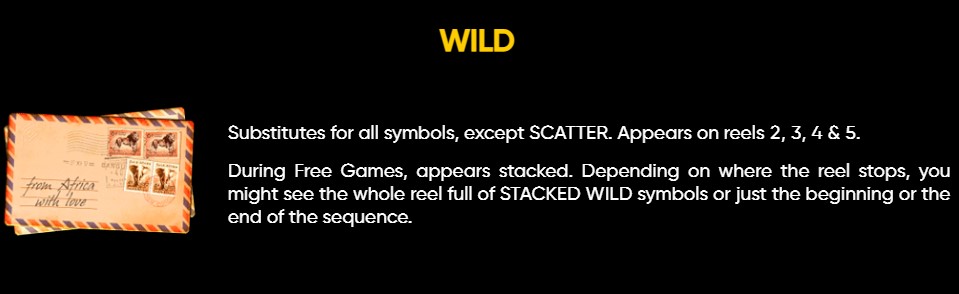 Safari Wild