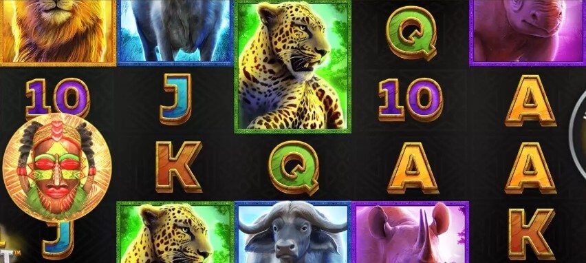 Animal Instinct Theme & Design