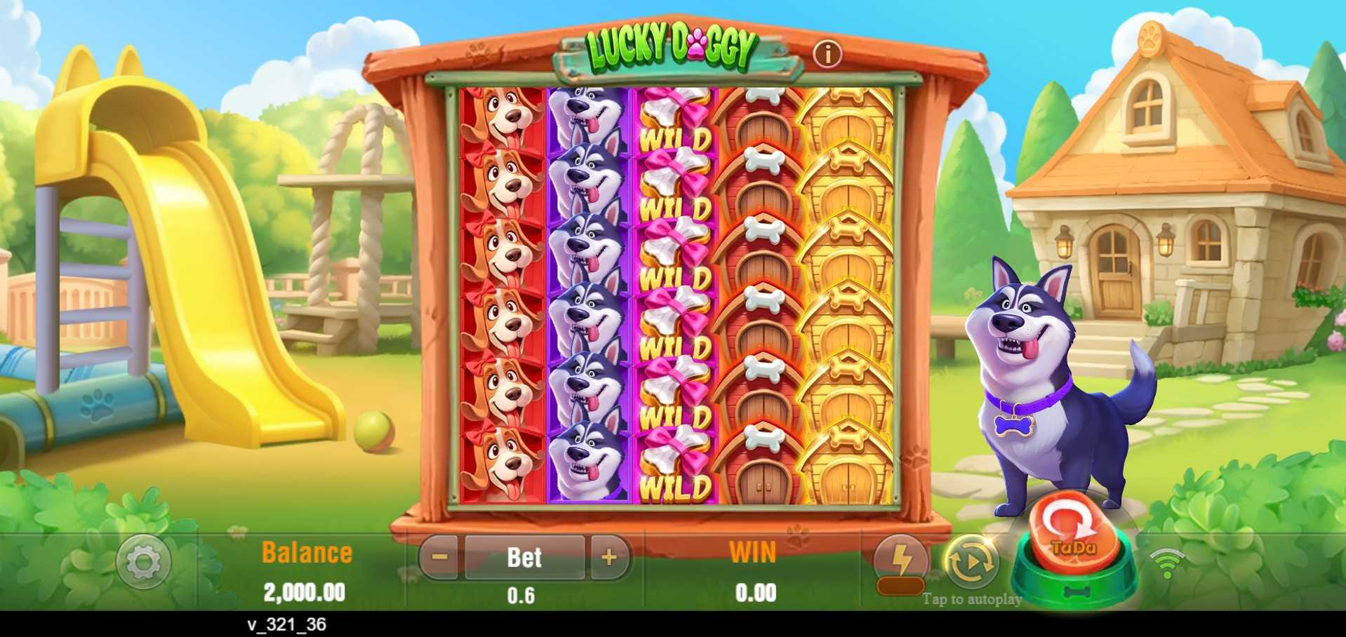 theme & design lucky-doggy